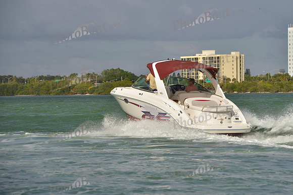 2019 Feb 10 Tampa Bay B_0485