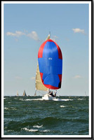 proof_2010_Vineyard_Race_1248