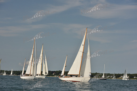 2018 Vineyard Cup A_0036