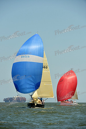 2015 Southern Bay Race Week A 1268
