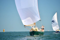 2015 Cape Charles Cup A 808