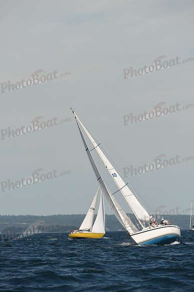 2016 Chester Race Week A_0807