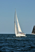2010 Leukemia Cup B 519