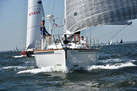 2019 Vineyard Race A_0261