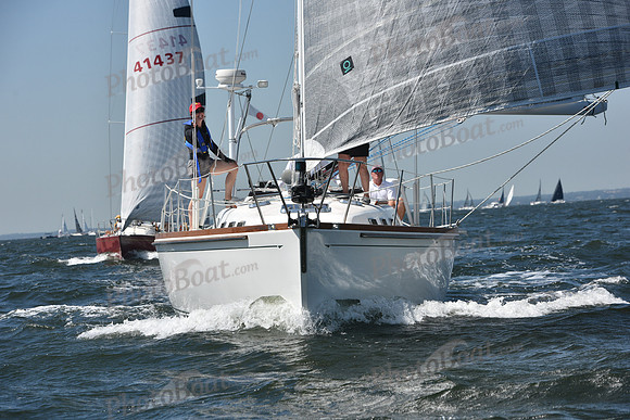 2019 Vineyard Race A_0261