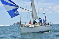 2019 Figawi_1594