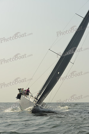 2015 Vineyard Race B 236