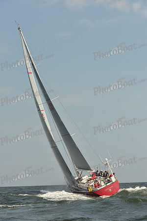 2015 Vineyard Race B 302