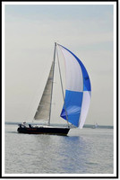 proof_2010 Block Island Race 175