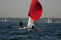 2011 HPDO A 306