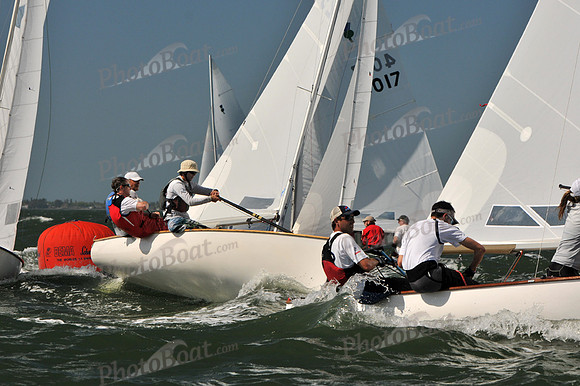 2012 Thistle Midwinters C 088