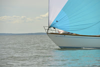 2016 Vineyard Race A_0995