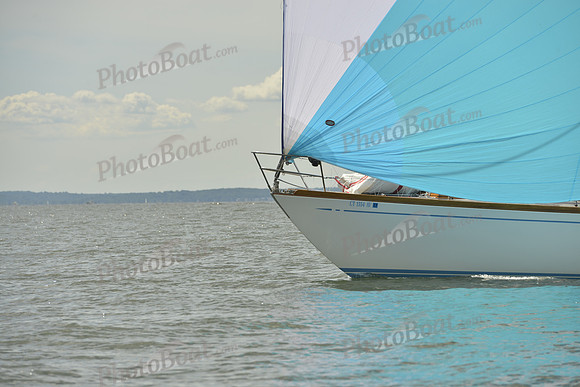2016 Vineyard Race A_0995