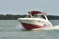 2019 Feb 10 Tampa Bay B_0473