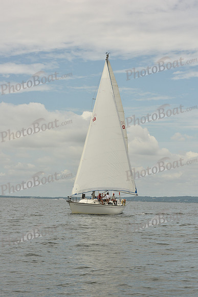 2018 ALIR_0940