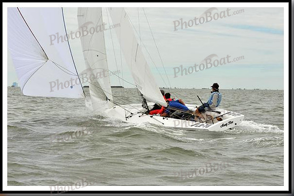 proof_2010_EScows_A 229