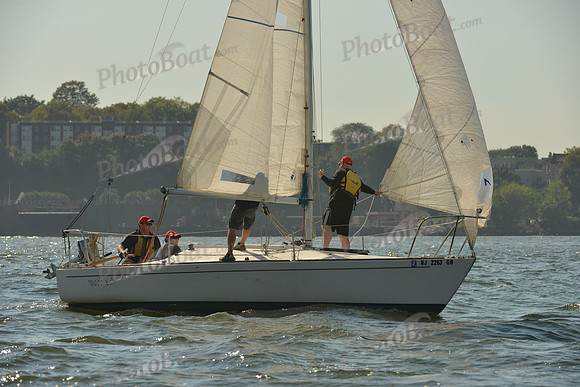 2015 NY Architects Regatta A 411