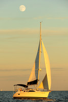 2014 Denmark Race B 1319