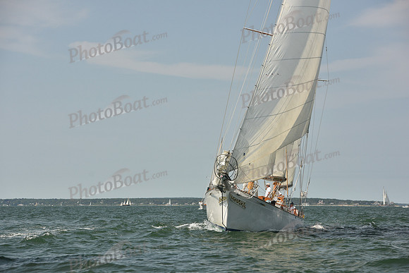 2018 Vineyard Cup A_0311