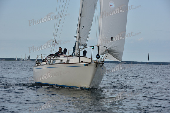 2019 Around Marthas Vineyard A_0160
