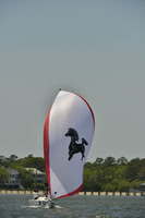 2017 Charleston Race Week A_1398