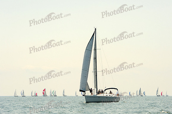 2014 Cape Charles Cup A 453