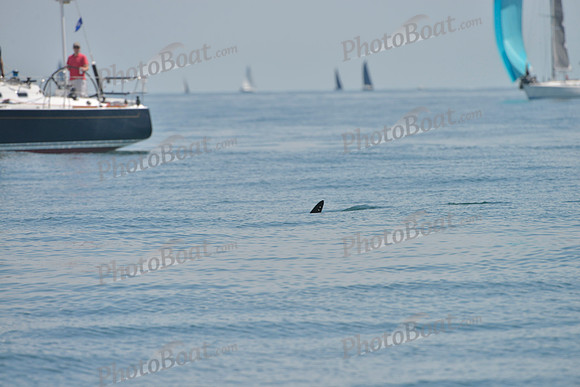 2019 Around Marthas Vineyard B_0188