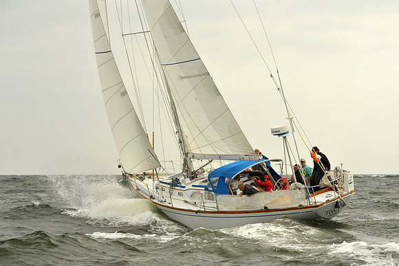 2015 Vineyard Race A 111