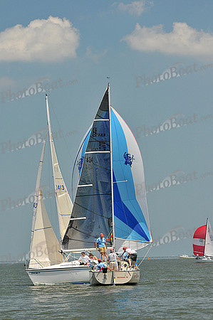 2013 Southern Bay Race Week A 466