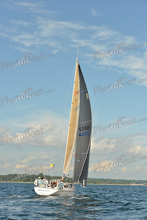 2015 Denmark Race A 513