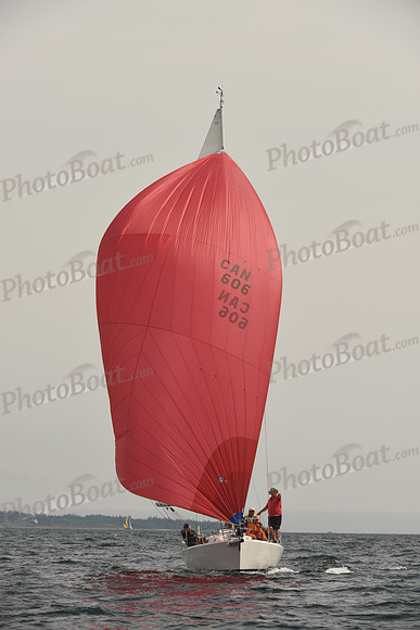 2016 Chester Race Week C_1574