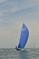 Isurus