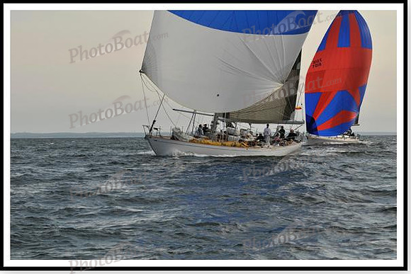 proof_2010 Block Island Race 1131