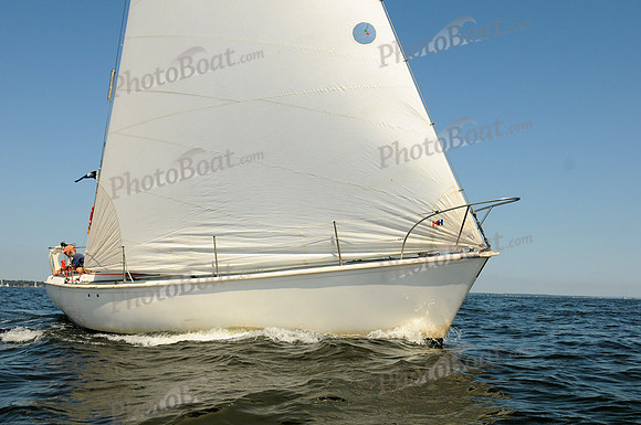 2011 Vineyard Race A 1795