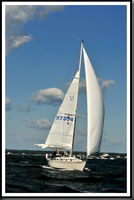 proof_2010_Vineyard_Race_0163