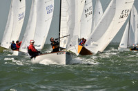 2012 Thistle Midwinters B 545