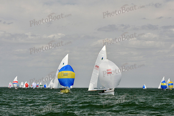 2012 Thistle Midwinters B 1438