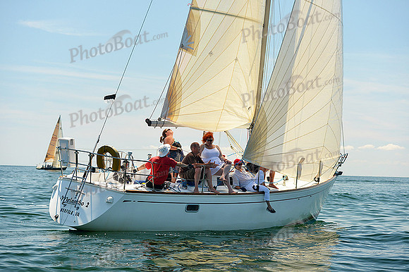 2015 Cape Charles Cup C 800