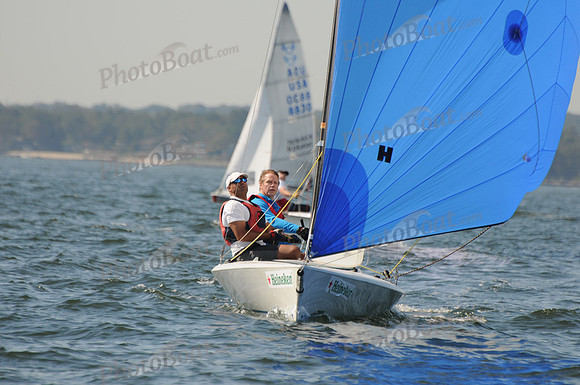 2011 HPDO A 1036