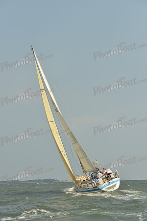 2015 Vineyard Race A 1494