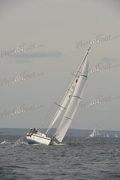 2016 Chester Race Week C_0615