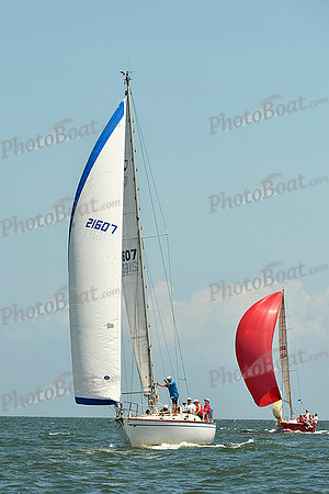 2015 Southern Bay Race Week C 1343