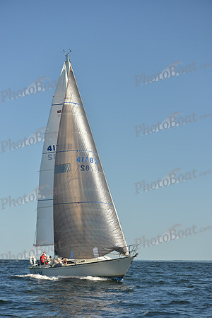 2015 Vineyard Race C 553
