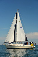 2015 Cape Charles Cup C 229