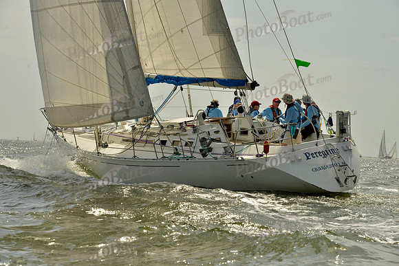 2019 Charleston Race Week A_0553