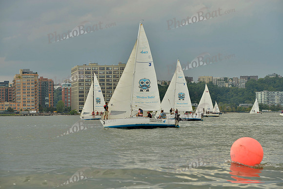 2017 NY Architects Regatta A_0562
