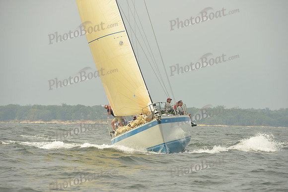2015 Vineyard Race A 1583
