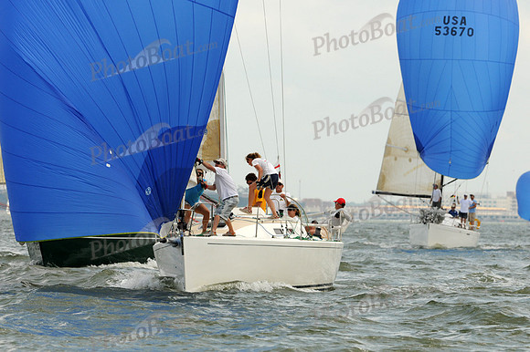 2012 Southern Bay Race Week A 2310