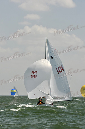 2012 Thistle Midwinters B 1253