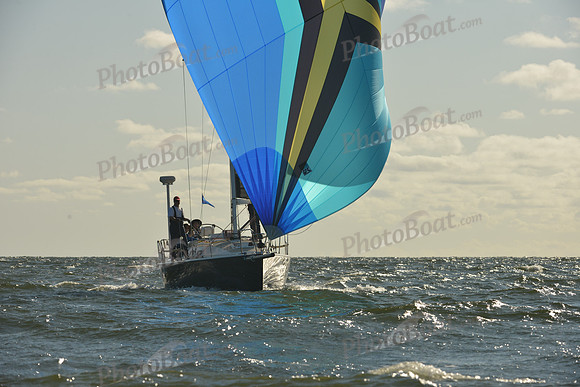 2015 Vineyard Race C 006